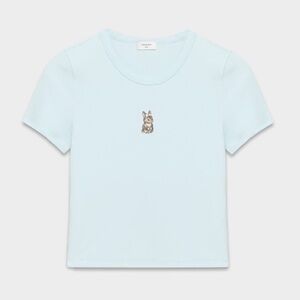Aritzia Sunday Best Sky Blue Tee